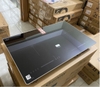 Bếp từ đôi Canzy CZ-666PRO