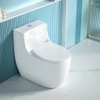 Bồn cầu 1 khối, bệt vệ sinh CR6663