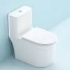 Bồn cầu 1 khối, bệt vệ sinh CR6662