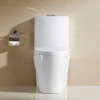 Bồn cầu 1 khối, bệt vệ sinh F-003