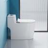 Bồn cầu 1 khối, bệt vệ sinh F-065