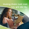 Dung dịch khử mùi hôi cho chó mèo DrVet chai 500 ml