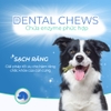 Kẹo Nhai Vệ Sinh Răng Miệng Cho Chó DrVet - Dental Chew 100g