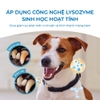 Dung dịch vệ sinh răng miệng cho chó mèo DrVet chai 250 ml