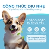 Dung dịch vệ sinh răng miệng cho chó mèo DrVet chai 250 ml