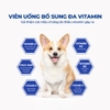 Vitamin tổng hợp cho chó - Bổ sung Lentinan