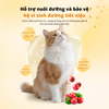 Dr.Vet-Viên bổ sung kiềm cho đường tiểu-Urinary Alkalizer Tablets (30g/Bottle)
