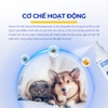 Chai xịt Fipronil loại bỏ rận, ve, ký sinh trùng