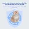 Viên hỗ trợ loại bỏ búi lông cho mèo