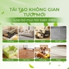 Dung dịch khử mùi hôi cho chó mèo DrVet chai 500 ml