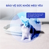 Hạt thử độ pH trong nước tiểu - Insta Test pH