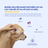 Tuýp bôi viêm da, nấm