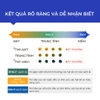 Hạt thử độ pH trong nước tiểu - Insta Test pH
