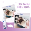 Sữa tắm Chó mèo