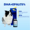Pure Pet Fish Oil (DHA+EPA≥75%) - Dầu cá