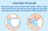 Huggies Quần Đại M - 42M