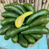 Bơ 034 từ 3-4 trái (1kg)