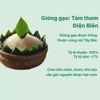 Gạo tám thơm Điện Biên Bảo Minh túi 3kg (1 Túi)
