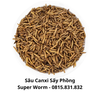 5 Lý Do Bạn Nên Bổ Sung Sâu Canxi Sấy - Super Worm Vào Khẩu Phần Ăn Của Vật Nuôi