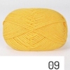 MĐ09 vàng