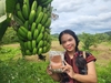 Mỳ Chuối A Lưới