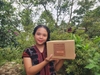 Mỳ Chuối A Lưới
