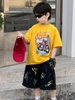 Quần Ngắn Đen Sơn Màu FS