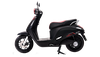 Evo Neo