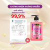 Sữa rửa tay tạo bọt Carefor Chính hãng diệt khuẩn dưỡng ẩm thơm 4 mùi hương dạng chai 500ml