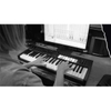 Controller MIDI Novation Launchkey 49 MK4