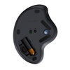 Chuột Logitech Ergo M575