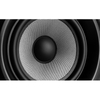 Loa M- Audio BX5 D3 (cặp)