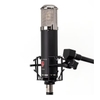 Micro Thu Âm Condenser Tube Lauten Audio LA320 V2