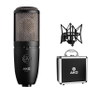 Micro Thu Âm AKG P420