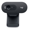 Webcam ghi hình Có Mic Logitech C505 (960-001370)