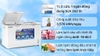 Tủ đông Hòa Phát 352 lít HCF 666S1Đ2