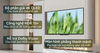 Google Tivi Coocaa 4K QLED 55 inch 55Y73 Pro 2024