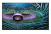 Android Tivi Sony 8K 85 inch XR-85Z9J