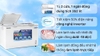 Tủ đông Hòa Phát 352 lít HCFI 666S1Đ2