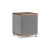 Loa sub Ruark RS1