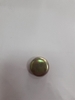 MẮT NƯỚC PHI 25