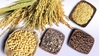 Ngũ cốc và sản phẩm từ ngũ cốc