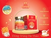 YEN SAO CAO CAP MY KHANH DONG TRUNG HA THAO 25% 6HU/70ML – ảnh 1