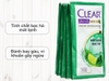 DAU GOI SACH GAU CLEAR DAY 10 GOI x 6G