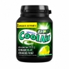 KEO GUM COOLAIR HUONG BAC HA THE MAT 55G