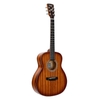 sapele