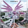 MÔ HÌNH LẮP RÁP FREEDOM SAKURA JMS (KÈM ĐẾ + DECAL NƯỚC)