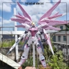 MÔ HÌNH LẮP RÁP FREEDOM SAKURA JMS (KÈM ĐẾ + DECAL NƯỚC)