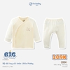 57B|Vàng - kẻ vàng
