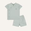 Mint 4039